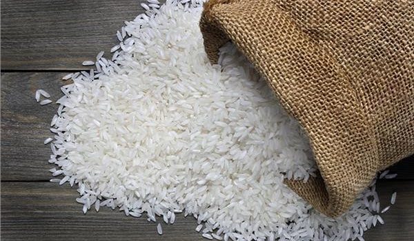 الأرز.jpg